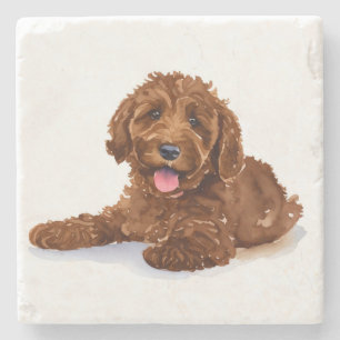 Beverage coaster with Chocolate Labradoodle