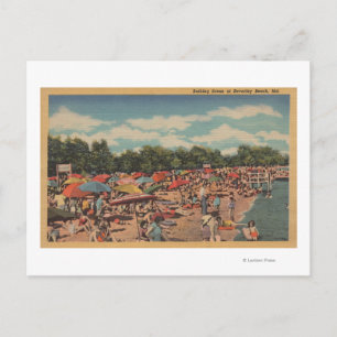 Beverley Beach, MD - Sunbathing Scene Postcard