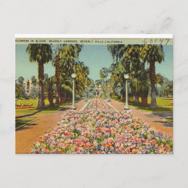 Beverly Hills Flowers Postcard (Front)