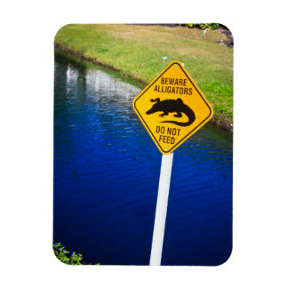 Beware Alligators Do Not Feed Magnet