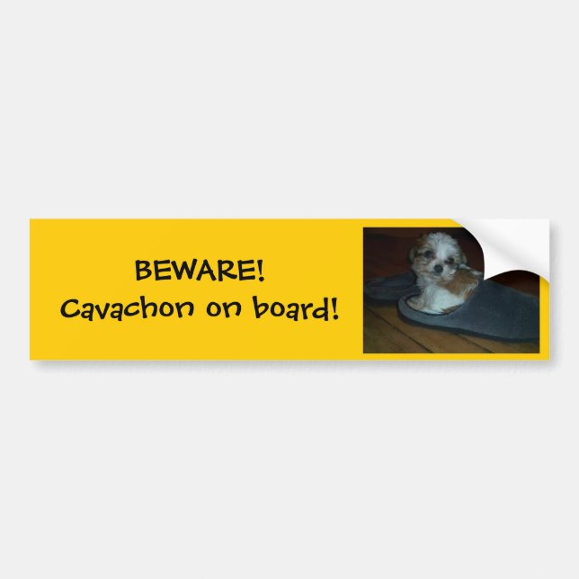 BEWARE! Cavachon on board! Bumper Sticker. Sticker (Front)