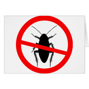 Beware Cockroaches