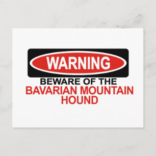Beware Of Bavarian Mountain Hound Postcard