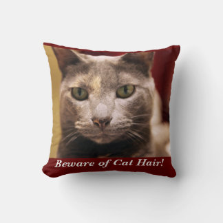 Beware of Cat Hair Cushion