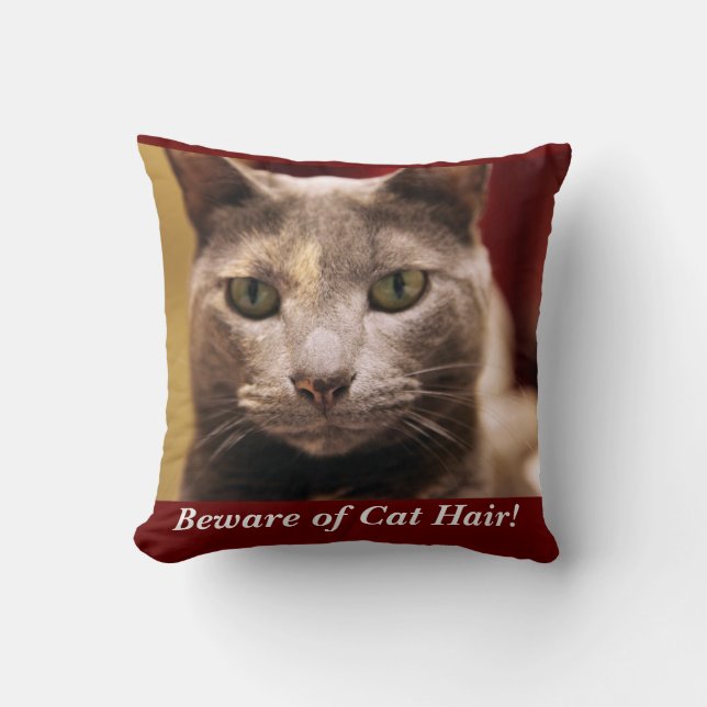 Beware of Cat Hair Cushion (Front)