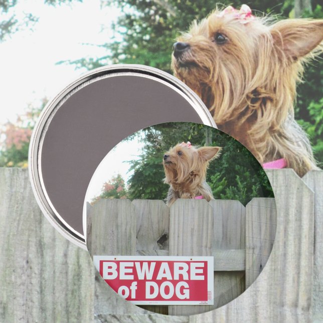 Beware of Cute Dog Magnet (Creator Uploaded)