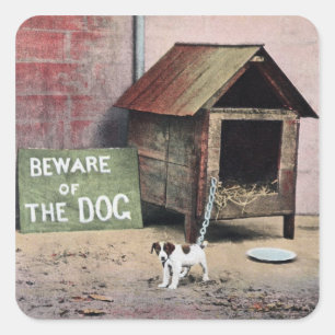 Beware of dog sign with small dog square sticker
