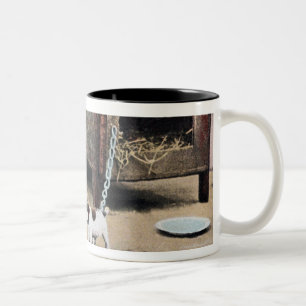 Beware of dog sign with small dog Two-Tone coffee mug