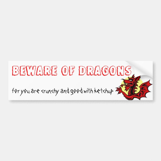 BEWARE OF DRAGONS BUMPER STICKER (Front)