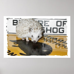Beware of Hedgehog Poster