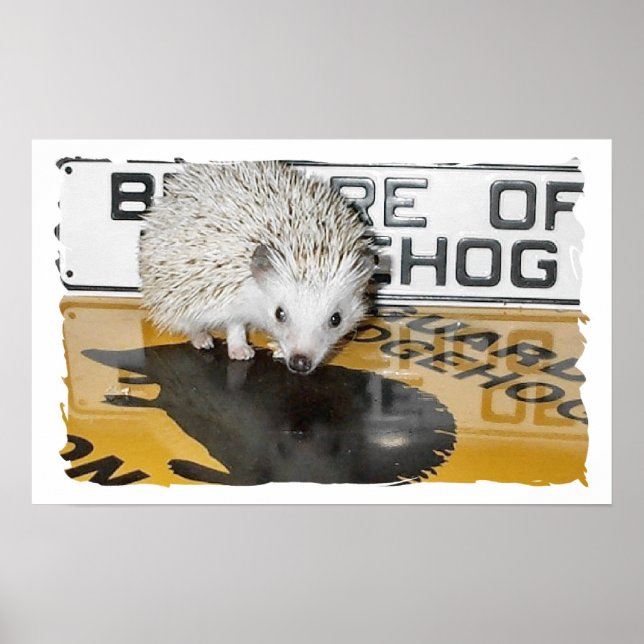 Beware of Hedgehog Poster (Front)