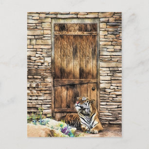 Beware of House Cat Wild Tiger at Cottage Door Postcard