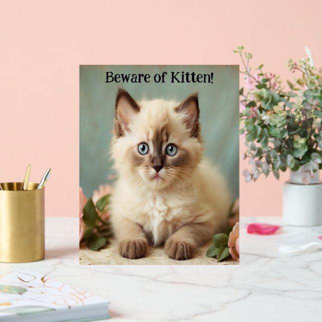 Beware Of Kitten Cute Ragdoll Kitty Guardian Pic  Acrylic Sign (Wedding)