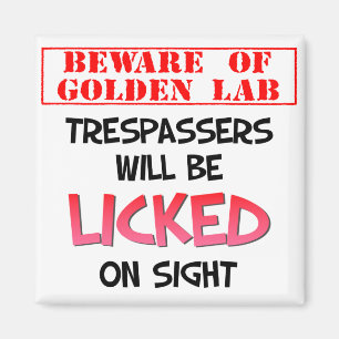 Beware of Licking Golden Lab (White) Magnet