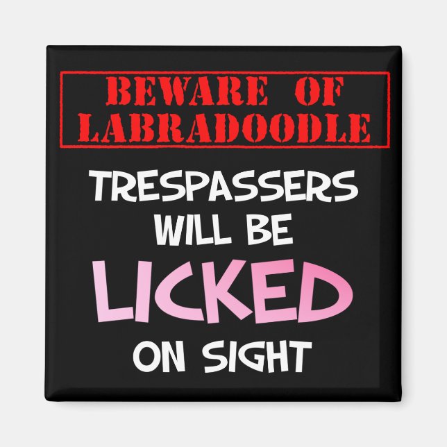 Beware of Licking Labradoodle (Black) Magnet (Front)