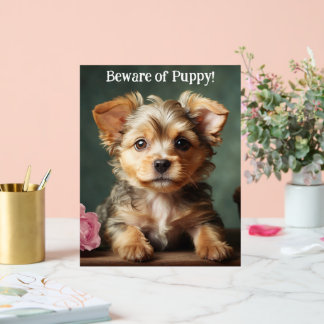 Beware Of Puppy Cute Yorkshire Terrier Guardian Acrylic Sign
