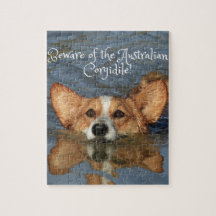 Beware of the Australian Corgidile!