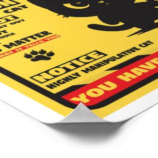 Beware of the cat poster