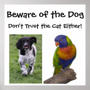 Beware of the dog. Don't trust the cat either Poster