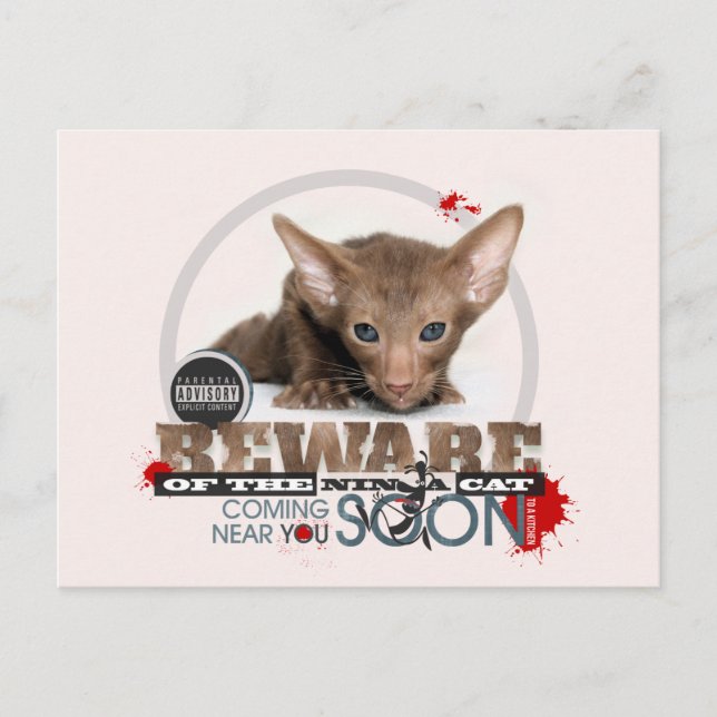 Beware of the Ninja Cat Postcard (Front)