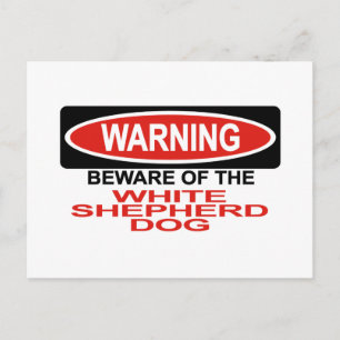 Beware Of White Shepherd Dog Postcard