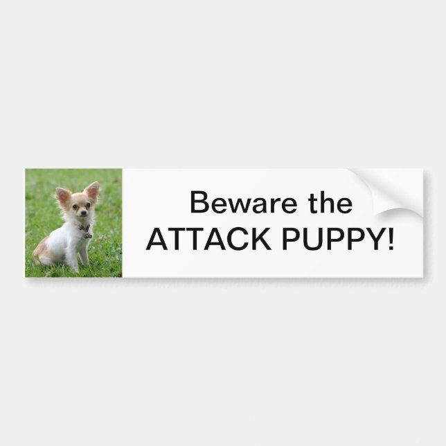 Beware the Attack Puppy Bumper Sticker (Front)