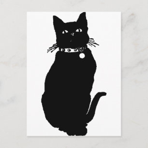 Beware the Black Cat Postcard