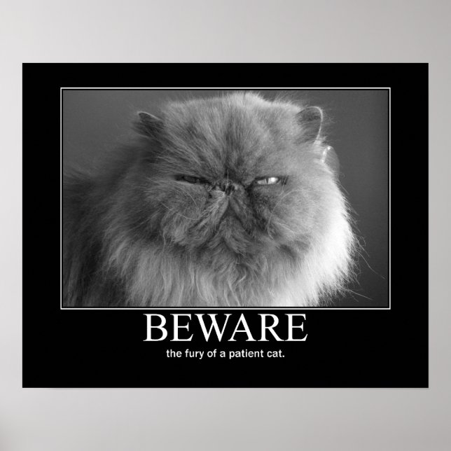 Beware the Fury of a Patient Cat Artwork Poster (Front)