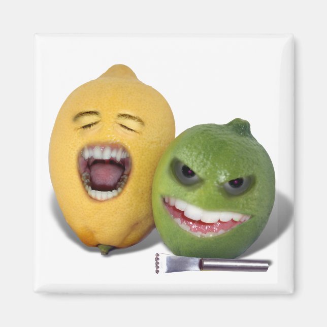 Beware the Lemon Zester Magnet (Front)