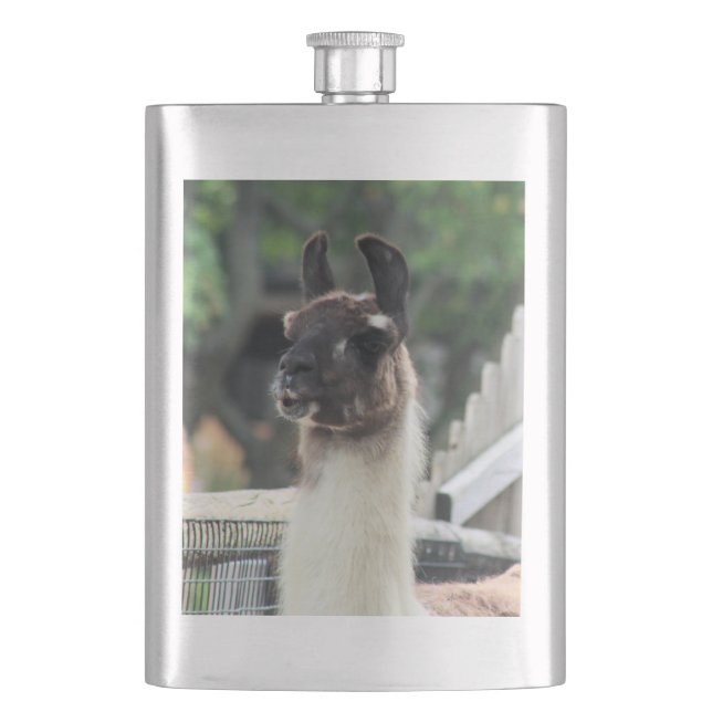 Beware the llama! hip flask (Front)