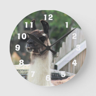 Beware the llama! round clock