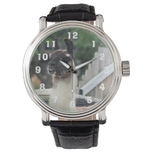 Beware the llama! watch