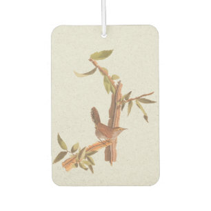 Bewick's Long-Tailed Wren Audubon Solitary Bird Car Air Freshener