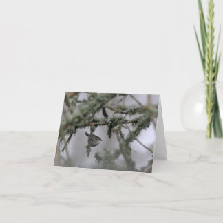 Bewick's Wren and moss Blank Note Card