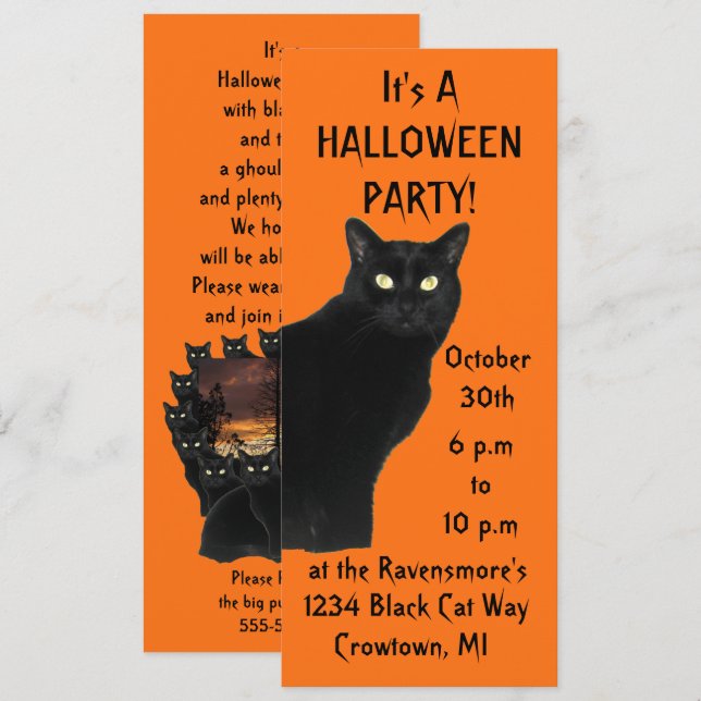 Bewitching Black Cat Halloween Party Invitation (Front/Back)