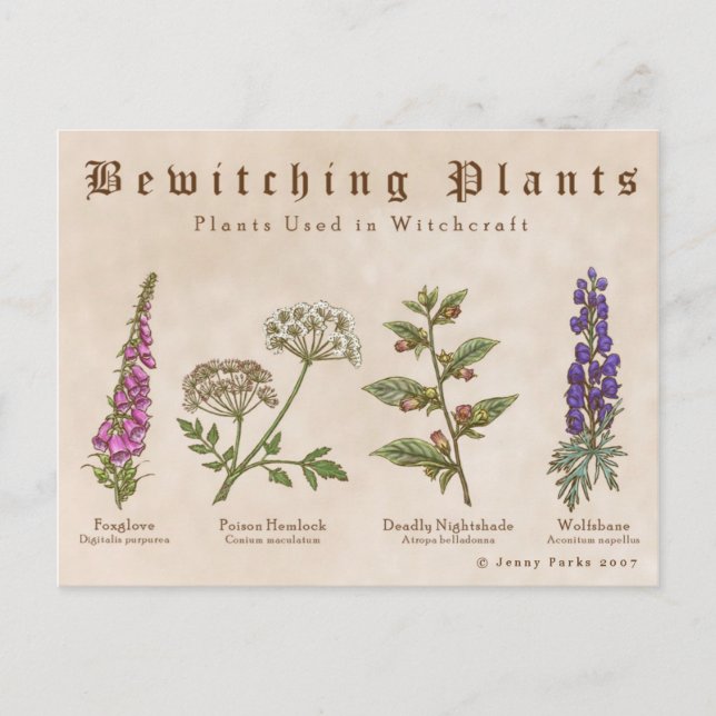 Bewitching Plants Postcard (Front)
