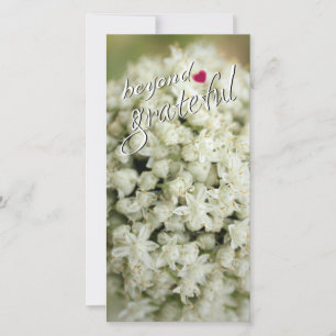 Beyond Grateful Tall Flat Thank You Cards