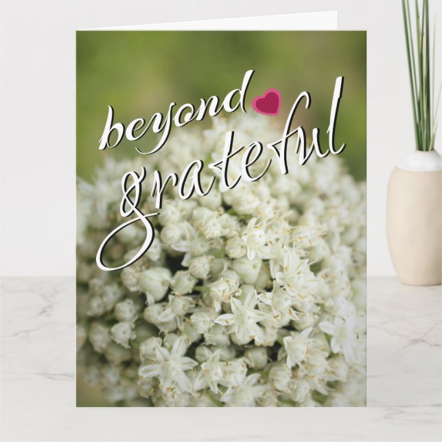 Beyond Grateful Thank You Cards (Front)
