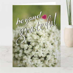 Beyond Grateful Thank You Cards