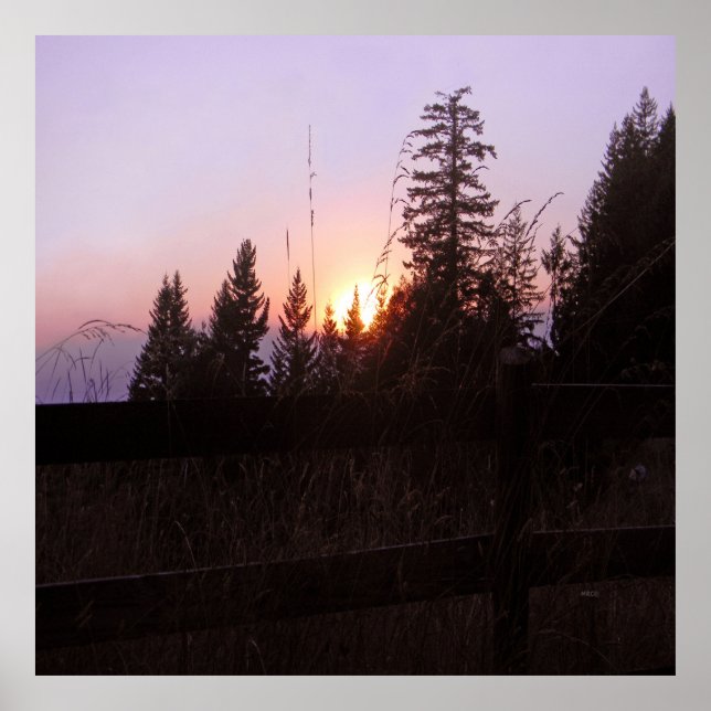 Beyond the fence... poster (Front)