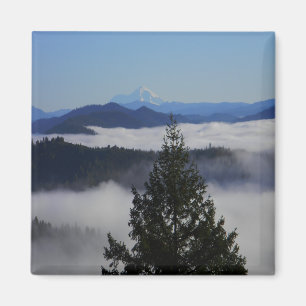 Beyond the tree.... magnet