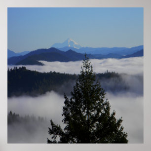 Beyond the tree.... poster