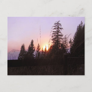 Beyond the trees...... postcard