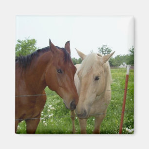 BFF Best Friends Forever - Horses Magnet