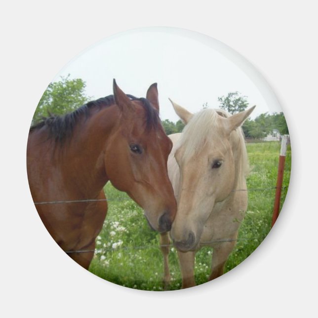BFF Best Friends Forever - Horses Magnet (Front)