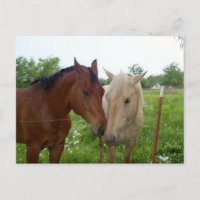BFF Best Friends Forever - Horses