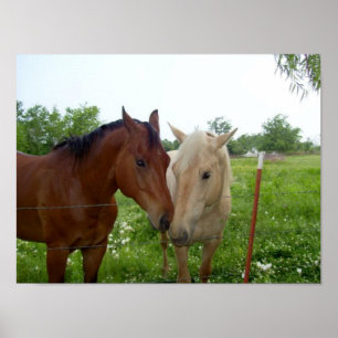 BFF Best Friends Forever Poster