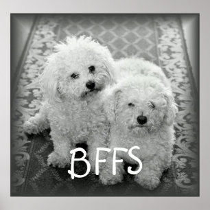 BFFS Cute Dogs Poster Print