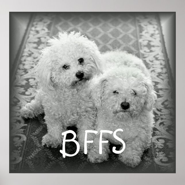 BFFS Cute Dogs Poster Print (Front)