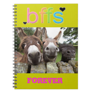 BFF'S Smiling Donkeys Notebook